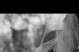 LightStrikes Photography - 8