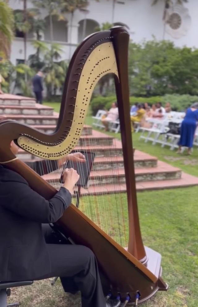 VeeRonna - Harpist - 2