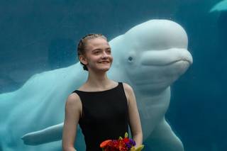 Mystic Aquarium - 6