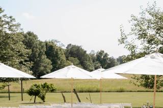 Premier Party Planners - 12