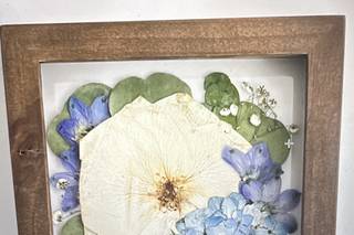 White Poppy Preservation - 7