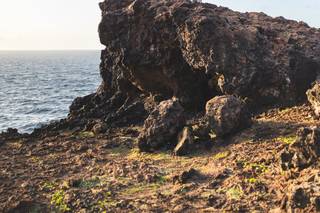 Aruba Wedding - 17