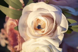 Chasing Sunlight Photography - 6