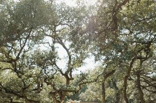 The Addison Grove - 6