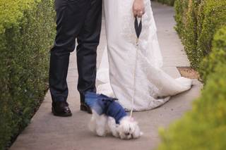 Erin Shimazu Photography - 39