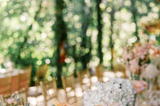 Bride & Blossom - 24