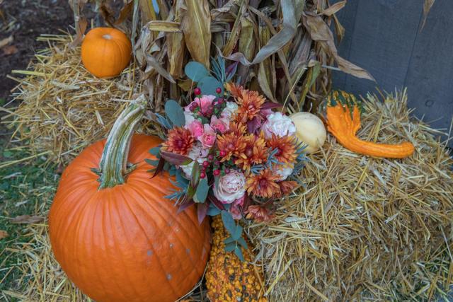 Neilson Photography - 3