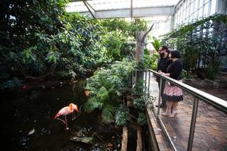 National Aviary - 19