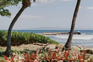 Dmitri and Sandra Maui Wedding Photography - 11
