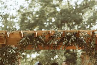 Vellum & Wing Photography - 7