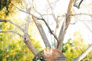 A Secret Garden - 18