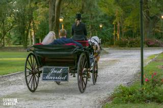 Heritage Carriages - 3