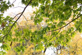 Rob Hickey Photography - 59