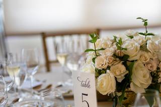 Braach's Flowers - 10