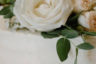 Mayfly Flowers - 20
