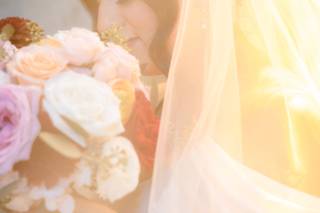 Allen + Nicole Photography - 5