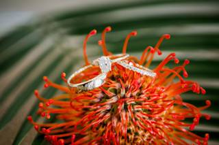 Bloom Flower Co. - 7