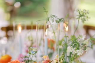 Olive Street Events - 44
