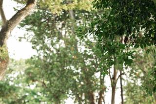 Lerris Marius Photography - 15