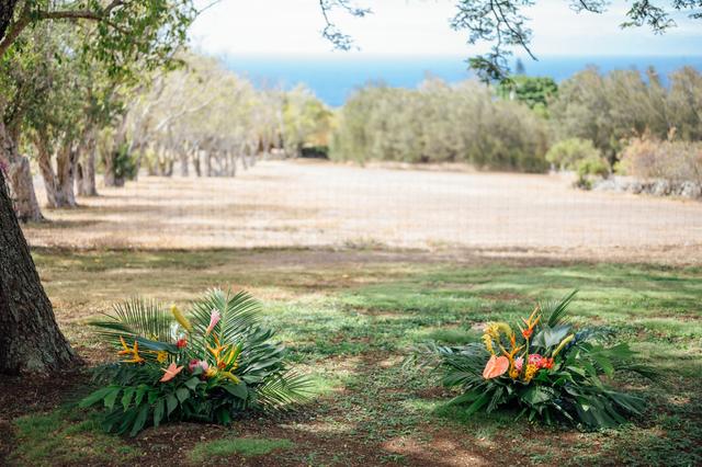 Puakea Ranch - 1