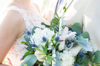 Lisa Mims Photography - 12