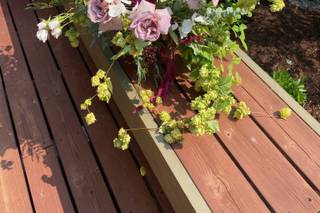 Summer Robbins Flowers - 38