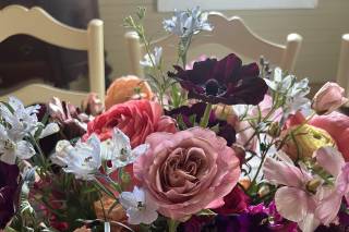 SueBee Vintage Rentals - 6