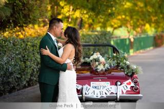 Draping Wedding - 104
