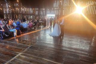 Lavender Shores Farm - 6