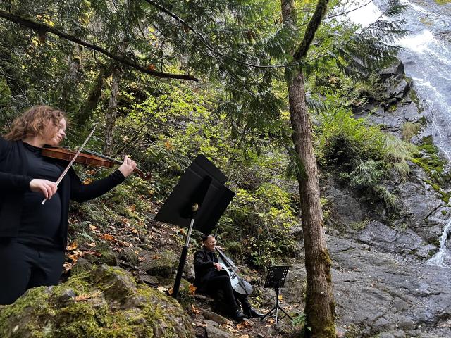 Puget Sound Strings - 1