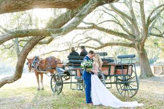 Middleton Place - 11