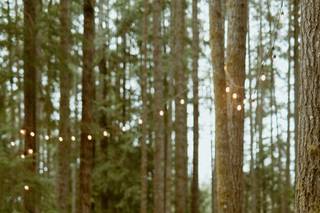 Lily and Fern Photography - 5