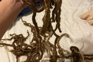 Unik Extensions - 8