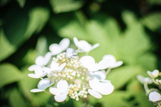 Katie Lasak Photography - 6