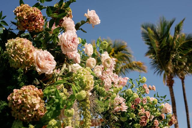 Lucelo Flor - 1