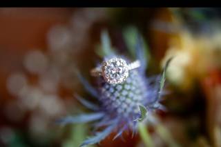 Jenna Rose Photography - 27