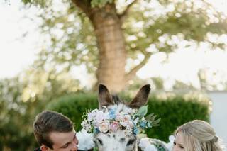 Haul N Ass Productions - 42