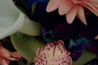 Say It With Flowers of Cape Coral, LLC - 11