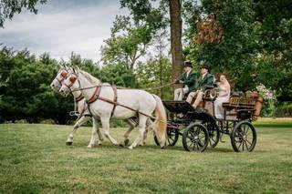 Magic Moments – Wedding and Event Planning - 10