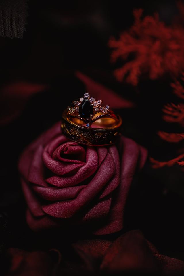 Terra Cooper Photography - 2