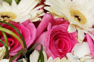 A Flower Girls Dream - 14