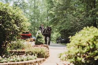 Forrest Hills Mountain Resort - 96