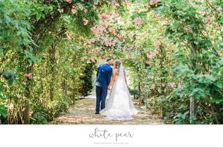 White Pear Photography Studios Inc - 47