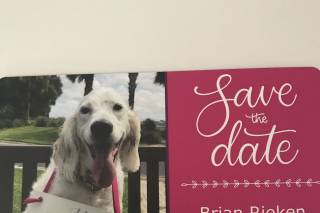 Spark Wander Shop - 8