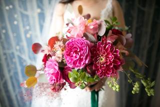 Linda Abbott Photography - 5