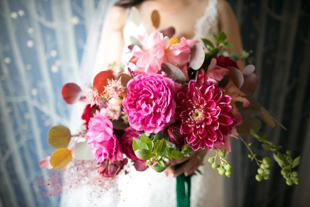 Linda Abbott Photography - 2