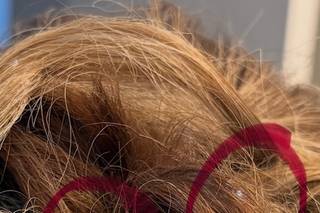 Beauty Knot - 27