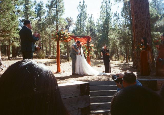 Into The Woods LLC - 1