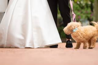 John Barone Photography - 23