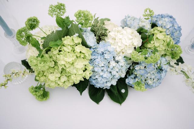 Bliss in Bloom - 4